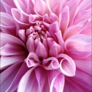 Meet your Posher, Natascha